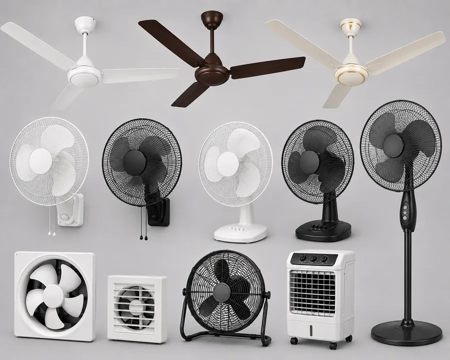 Fans